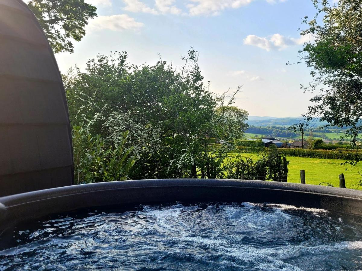 Odli Glamping - Deri Appartement Welshpool Buitenkant foto